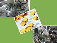 Medizinisches Öl und Paste des weichen Gels, die Softgel-Verkapselungs-Maschine füllt