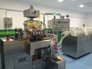 Pharmazeutische Softgel Verkapselungs-Maschine R u. D mit Kleinkapazitäts-S403