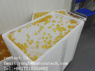 Weiße Nahrungsmittelgrad-stapelbare Kunststoffschalen/abkühlender Behälter 762*495*55mm