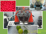 Pharmazeutische Gelatine Softgel-Kapsel-Maschine, MedizinVerpackungsmaschine 43470/Stunde