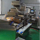 Automatische Maschine zur Produktion von Softgel-Kapseln