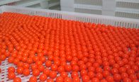 Experimentelle runde Paintball-Verkapselungs-Maschine mit HMI-Schalter/-knöpfen