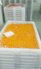 Hohes trockner-Behälter-PET-Antimaterial Temprature Plastikfür das Trocknen des einfrierenden Backens