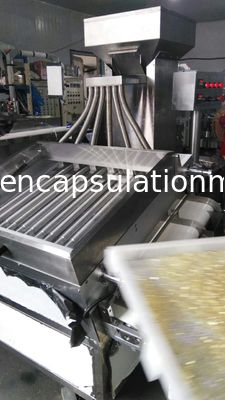12 Rollen kapseln sortierende Maschine ein