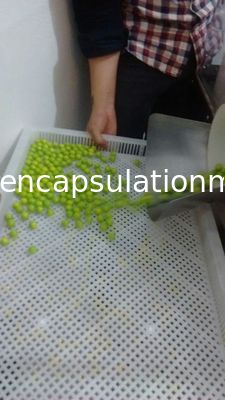 Hoher leistungsfähiger Verkapselungs-großer Umfang elektrische Paintball-Hersteller-Maschine Softgel