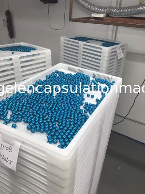 Verschiedene Farbtrocknende Plastikbehälter und Laufkatzen-Nahrungsmittelgrad EVP-Material 75 * 55 * 5cm