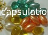 Softgel-Härteprüfgerät für weiche Kapsel-und Paintball-Verkapselungs-Produktion