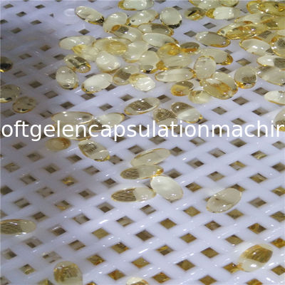 Gemüsegelatine/Stärke weiche Kapsel Erkang Carrangeen, die Maschine herstellt