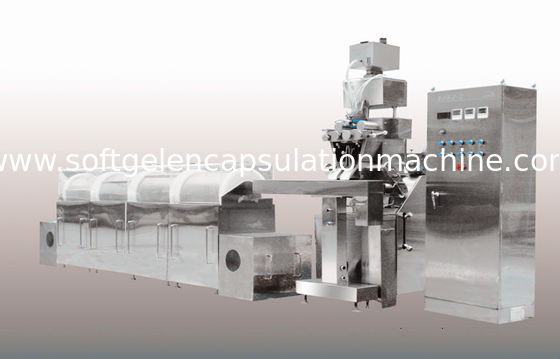 Ovale/längliche Form-automatische weiche Gelatine-Verkapselungs-Maschine mit der Zählung
