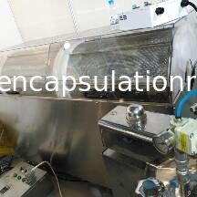 Edelstahl 316 Kapseln der Softgel-Verkapselungs-Maschinen-50000 - 70000/H