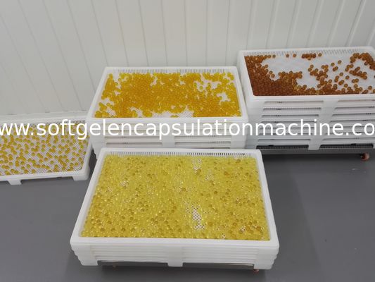 Nahrung ordnen trocknende Plastikbehälter mit Löchern kann 800*500 stapeln