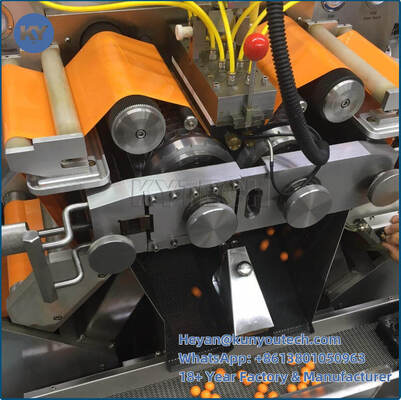 Automatische Maschine der Verkapselungs-304SUS, 880x640x1900mm Einkapselungsmaschinen