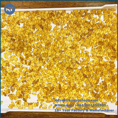 Leichte Plastikkühlvorrichtungs-Tray Food Grade Stackable Flat-Unterseite 762*600*55mm