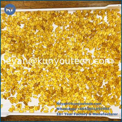 PP/ABS-Material Flachboden-Kunststoff-Trocknungsbecher 758x608x40mm für die Kapseltrocknung