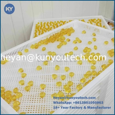 PP-Kunststoff-Trocknungstablett für Lebensmittel 758x608x40mm
