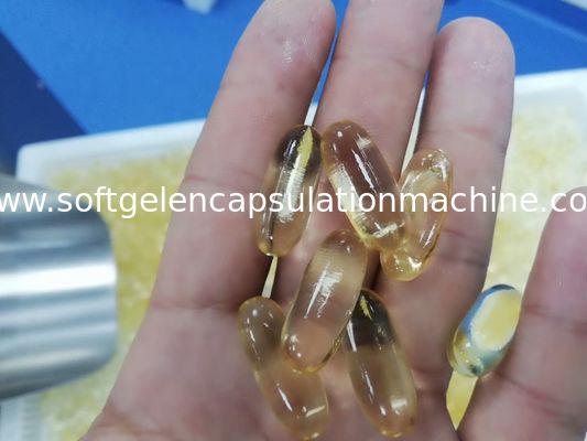 Canabis-Öl-weiche Gelatine-Verkapselungs-Maschine für pharmazeutische Unternehmen
