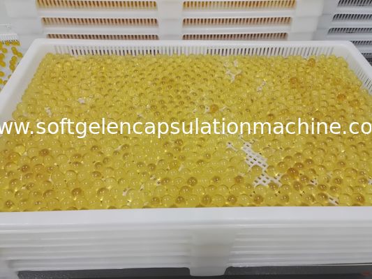 Medizin-trocknende Plastikbehälter