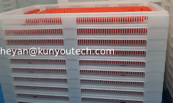 Weiße Nahrungsmittelgrad-stapelbare Kunststoffschalen/abkühlender Behälter 762*495*55mm