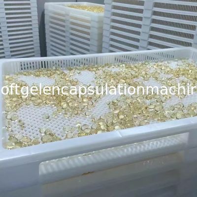 ISO9001 trocknende Plastikbehälter EVP 75 * 55 * 5cm