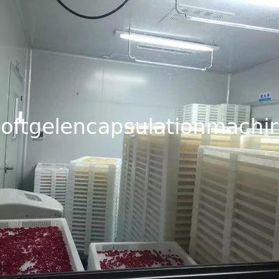 Automatische Kapsel-Maschinen-Fertigungsstraße für Fisch-Öl 120000 PC/H