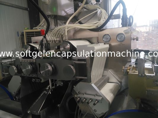 Plc-Steuerkapsel-Produktionsmaschine-pharmazeutische 1-jährige Garantie