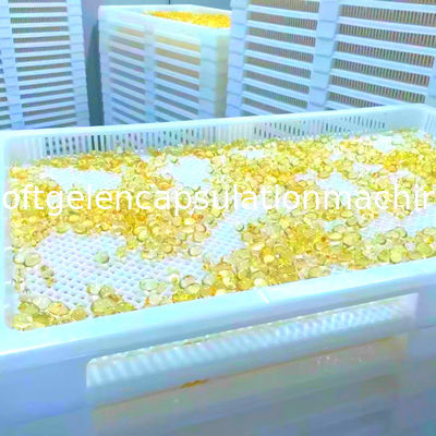 Große 78*50*6cm trocknende Plastikbehälter Softgel hohes Antitemprature