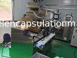 6 RPM Softgel-Verkapselungsmaschine Fischöl und Paste Füllung 120000 Stück/h