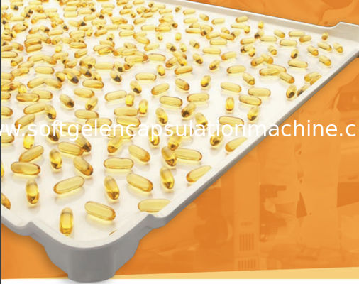 Flache untere Nahrungsmittelgrad-EVP-CER 5cm trocknende Plastikbehälter
