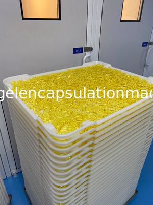 Pp.-ABS-flache untere EVP-Cer-trocknende Plastikbehälter 5cm im Kapsel-Trockner