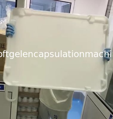 Flache untere Nahrungsmittelgrad-EVP-CER 5cm trocknende Plastikbehälter