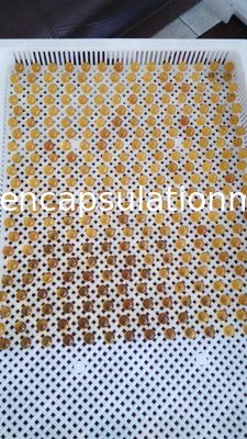 Pulsant, das nahtlose Softgel-Maschine schneidet