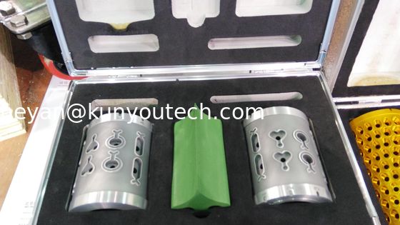 Fische formen Würfel-Rollenbearbeitungskapsel-Form für 10