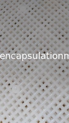 Nahrung ordnen trocknendes Plastikmaterial der Behälter-pp. für Paintball/Softgel-Kapsel