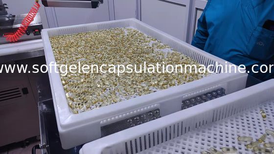 Verkapselungs-Maschine Plc-Steuerung CER Zertifikat-5rpm Softgel