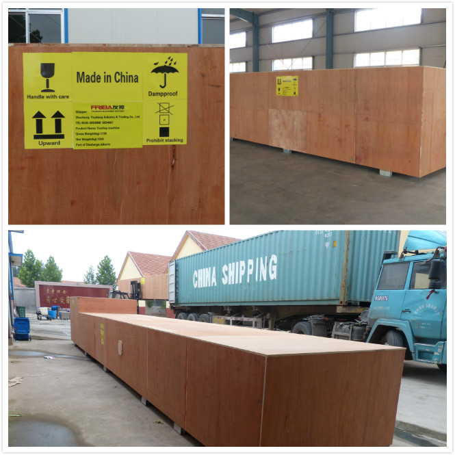 Producions-Sturz-trockenere Maschine Verkapselung SS304 Softgel 7