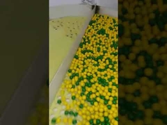 PAINTBALL-VERPACKUNGSMASCHINE