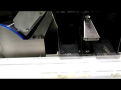 SOFTGEL-PAINTBALL-VERKAPSELUNGSMASCHINE