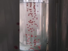 Verkapselungs-Maschine Canabis-Öl-Olive Oils 13kw Softgel