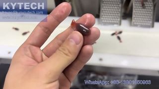 Fischförmige Servo-Softgel-Verkapselungsmaschine